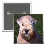 Soft-coated Wheaten Terrier Button