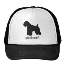 Soft-Coated Wheaten Terrier Hat