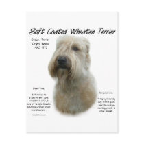 Soft Coated Wheaten Terrier History Design postcards by GreyWolfCreation Soft Coated Wheaten Terrier History Design postcards