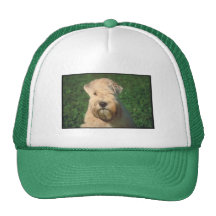 Soft Coated Wheaten Terrier Mesh Hats