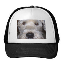 Soft Coated Wheaten Terrier Mesh Hats