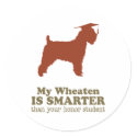 Soft Coated Wheaten Terrier stickers