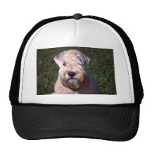 Soft-coated Wheaten Terrier Trucker Hats