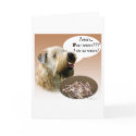 Soft Coated Wheaten Terrier Turkey cards by GreyWolfCreation Soft Coated Wheaten Terrier Turkey cards