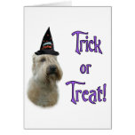 Soft Coated Wheaten Trick Greeting Card