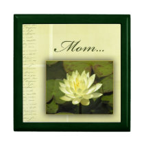 Soft Cream Water lily for Mom gift boxes