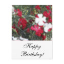 Soft Floral D5 - Customizable Postcards