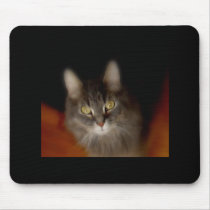 Soft Focus Rainy mousepads
