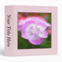 Soft Focus Sweet Williams Binders