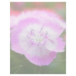 Soft Focus Sweet Williams Customized Letterhead