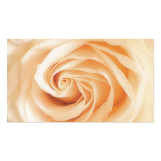 Soft Ivory Rose Business Card Templates (front side)