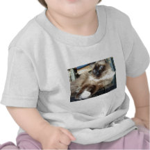 soft kitty warm shirt