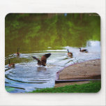 Soft Landing Mousepad