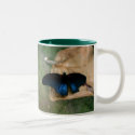 Soft Landing mugs