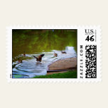 Soft Landing Postage
