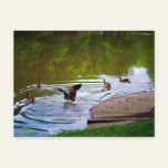 Soft Landing Postcard