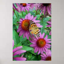 Soft Landing Poster
