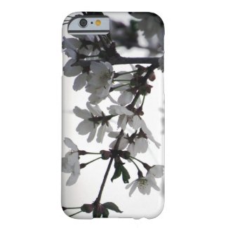 Soft Light Barely There iPhone 6 Case