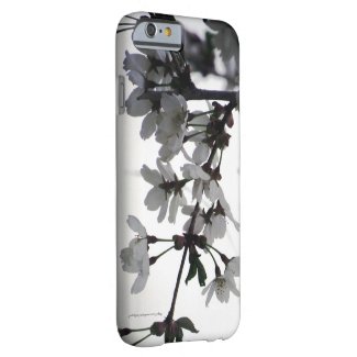Soft Light Barely There iPhone 6 Case
