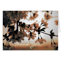 Soft Light Peach Thank You Cards