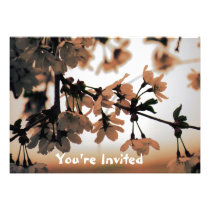 Soft Light Peach Wedding Invitations