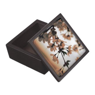 Soft Light Wooden Gift Box