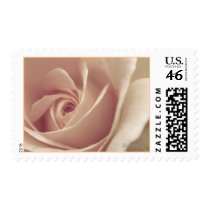 Soft Mauve Rose Wedding Postal Stamp
