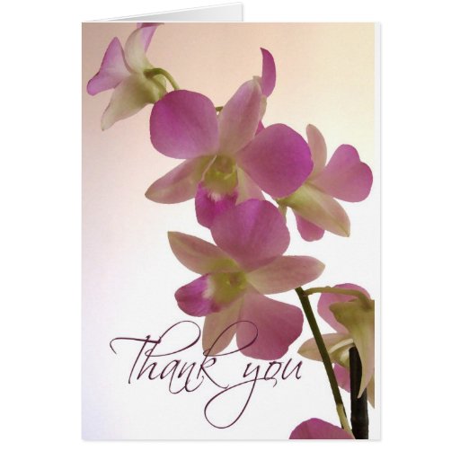 Soft orchid thank you note cards | Zazzle