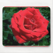 Soft Petals mousepads