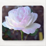 Soft Pink and White Rose-60 Mouse Pad