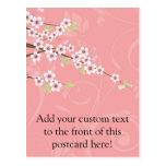 Soft Pink Cherry Blossom Post Card