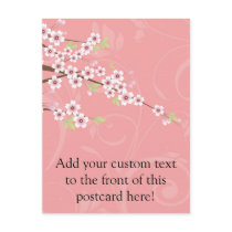 Soft Pink Cherry Blossom Post Card