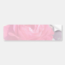 Soft Pink Haze Rose Bumper Sticker