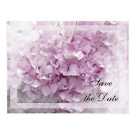 Soft Pink Hydrangea Save the Date Announcement Postcard