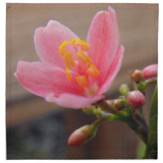 Soft Pink Jatropha Flower Cloth Napkins