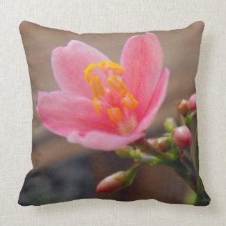 Soft Pink Jatropha Flower Pillow