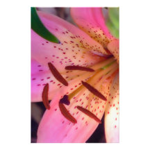 Soft Pink Lily Stationery Design