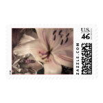 Soft Pink Lily Wedding Flowers Postage Stamps stamp