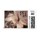 Soft Pink Lily Wedding  Flowers Postage Stamps