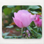 Soft Pink Rose-57 Mousepads