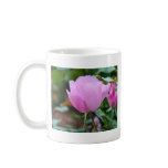 Soft Pink Rose-57 Mug