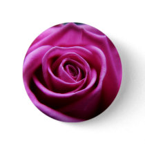 Soft Pink Rose button pin