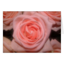 Soft pink rose card