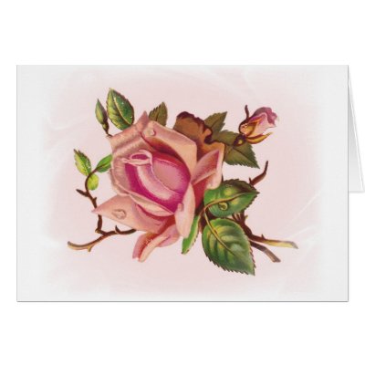 pink rose flower arrangements. Soft Pink Rose Customizable