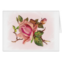 Soft Pink Rose Customizable Cards