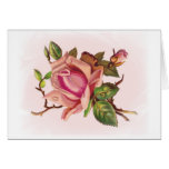 Soft Pink Rose Customizable Cards