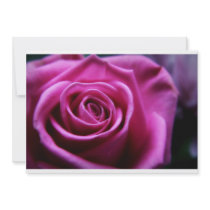 Soft Pink Rose invitations