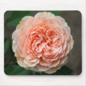 Soft Pink Rose Mousepad