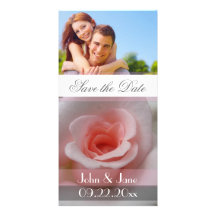 Soft Pink Rose  /photo  "Save the Date" Photo Cards
