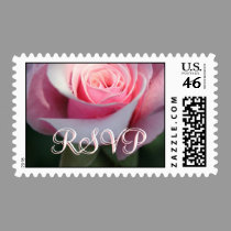 Soft Pink Rose postage by sharpcreations Soft Pink Rose postage